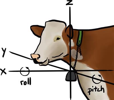 Classification of behaviors of free-ranging cattle using accelerometry signatures collected by virtual fence collars